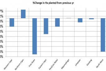 Ha planted from previous year