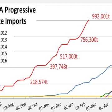 South African maize imports