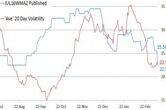 AVG 20 Days Vols Jul16Wm