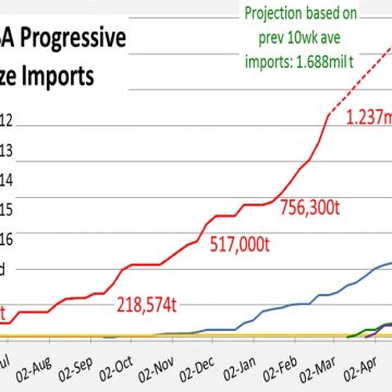 RSA Progressive maize imports-01 March 2016
