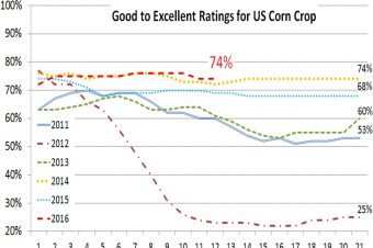 Good to Excellent USDA