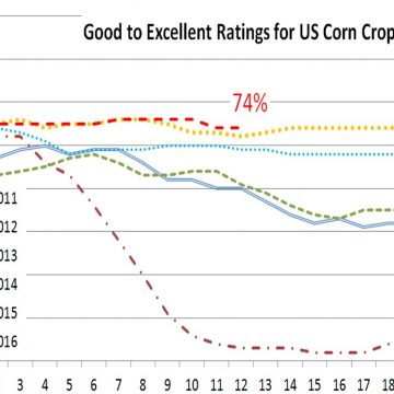 Good to Excellent USDA