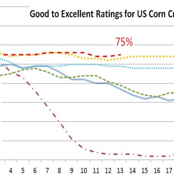U.S. crop progress