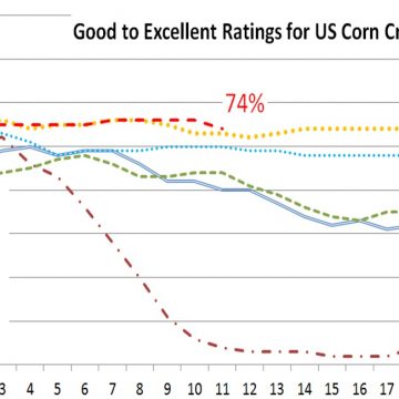 U.S. crop progress report