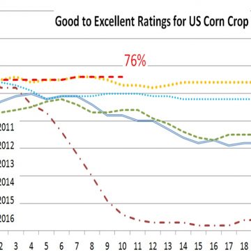U.S. corn crop progress report