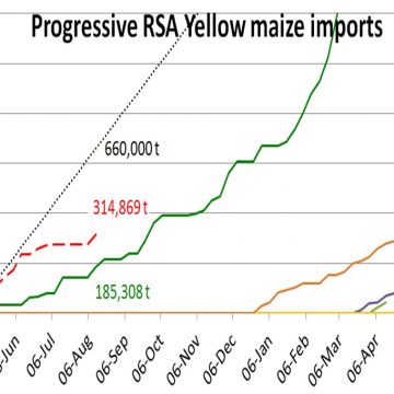 Yellow Maize Imports RSA