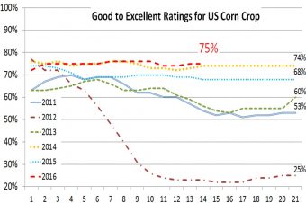 U.S. crop progress