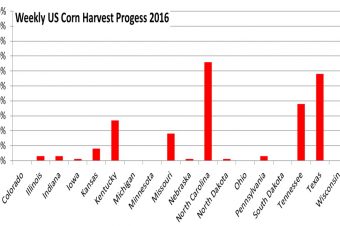 Weekly US Progress