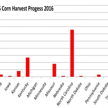 Weekly US Progress