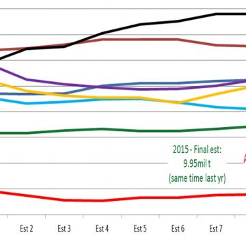 S. Africa’s 2016 final maize crop estimate