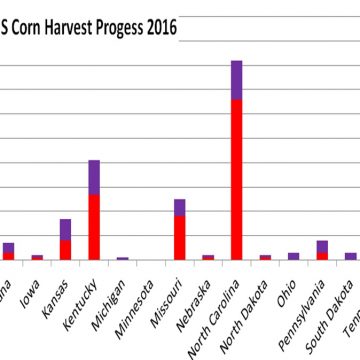Weekly US Corn Harvest