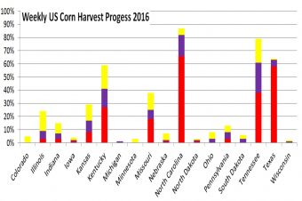 Good to Excellent rating CBOT Corn