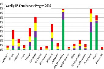 Weekly USDA Progress Report