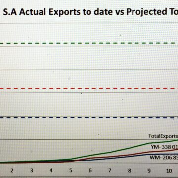 S.A actual export to date projected over 52 weeks.