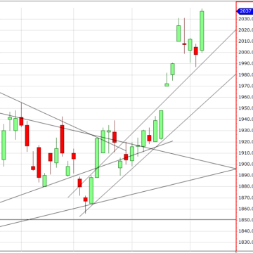 South African maize market trade higher on weather.